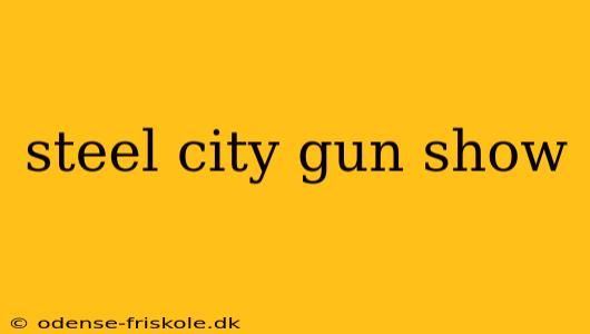 steel city gun show