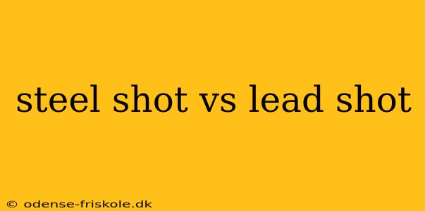 steel shot vs lead shot