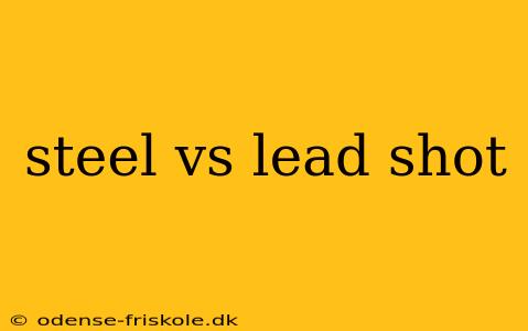 steel vs lead shot