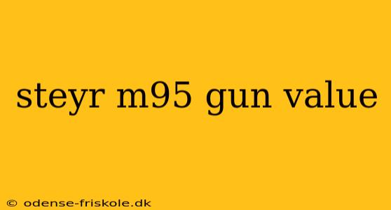 steyr m95 gun value