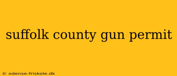 suffolk county gun permit