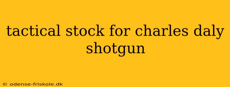 tactical stock for charles daly shotgun