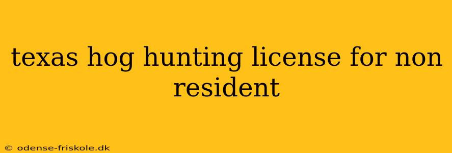 texas hog hunting license for non resident