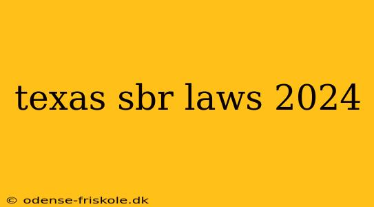 texas sbr laws 2024