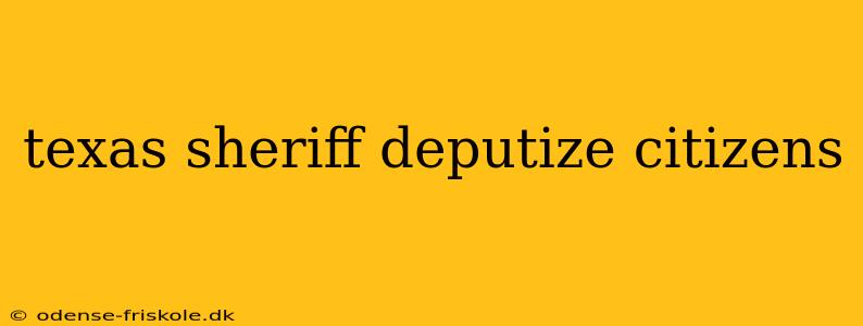 texas sheriff deputize citizens