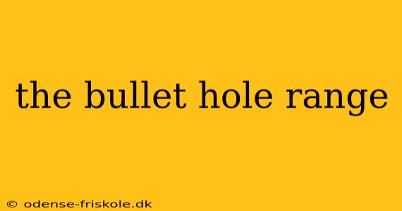 the bullet hole range