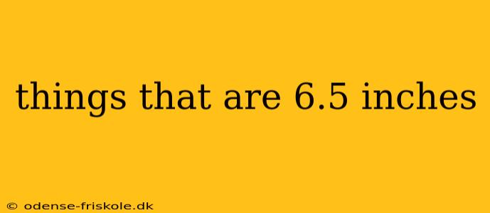 things that are 6.5 inches