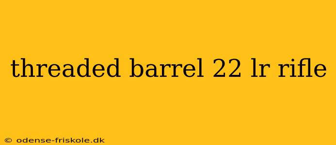 threaded barrel 22 lr rifle