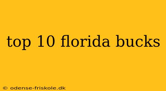 top 10 florida bucks