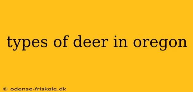 types of deer in oregon