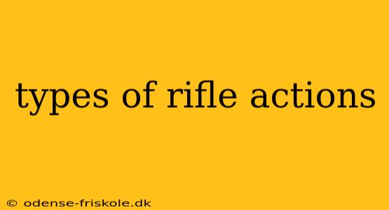 types of rifle actions