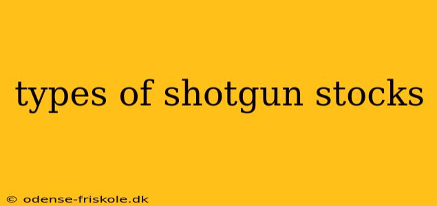 types of shotgun stocks