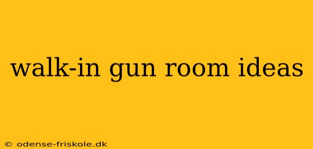 walk-in gun room ideas