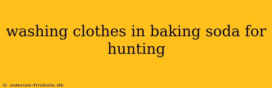 washing clothes in baking soda for hunting