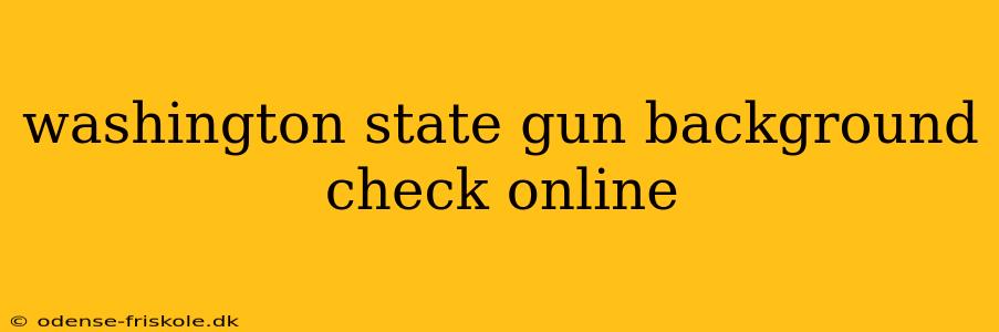 washington state gun background check online