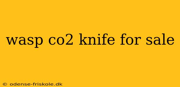 wasp co2 knife for sale