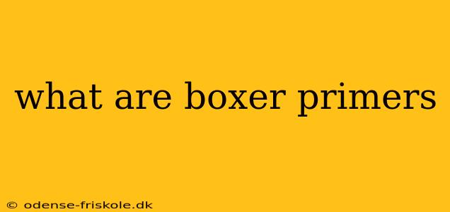 what are boxer primers