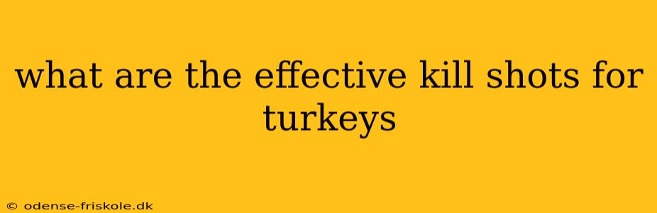 what are the effective kill shots for turkeys