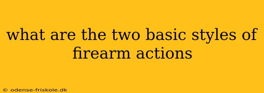 what are the two basic styles of firearm actions