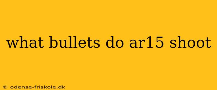 what bullets do ar15 shoot