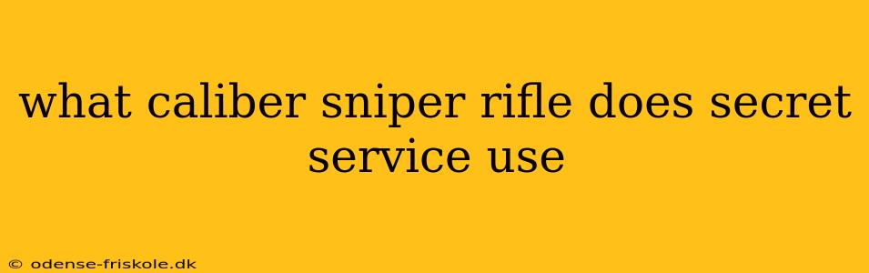 what caliber sniper rifle does secret service use