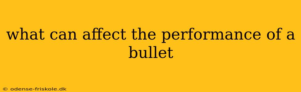 what can affect the performance of a bullet