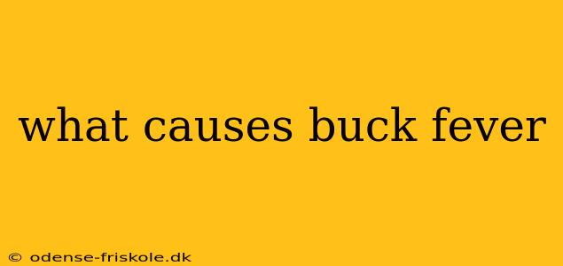 what causes buck fever