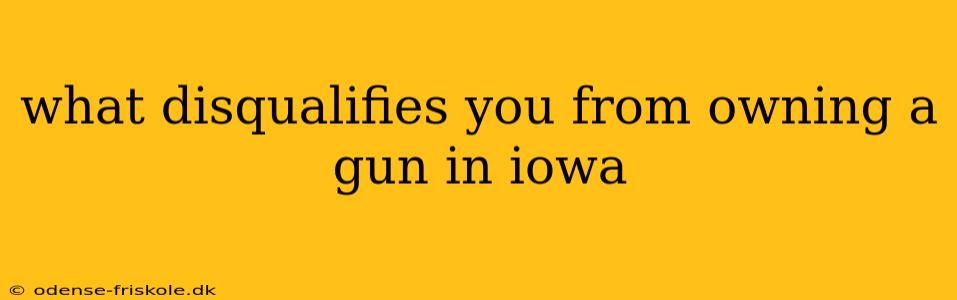 what disqualifies you from owning a gun in iowa