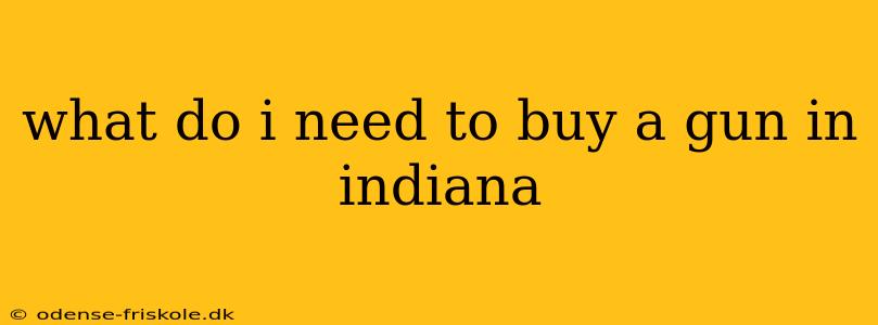 what do i need to buy a gun in indiana