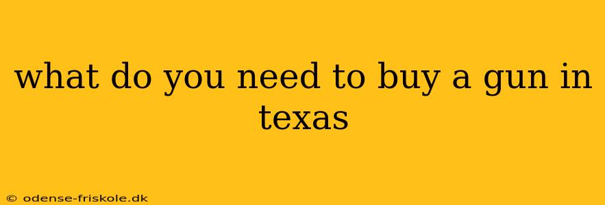 what do you need to buy a gun in texas