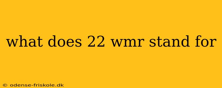 what does 22 wmr stand for