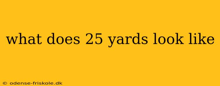 what does 25 yards look like