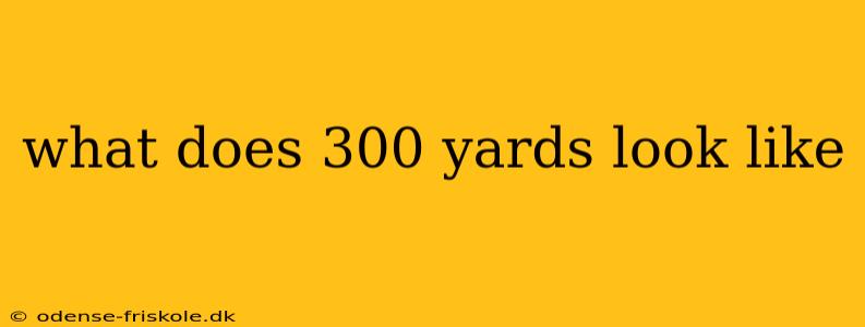 what does 300 yards look like