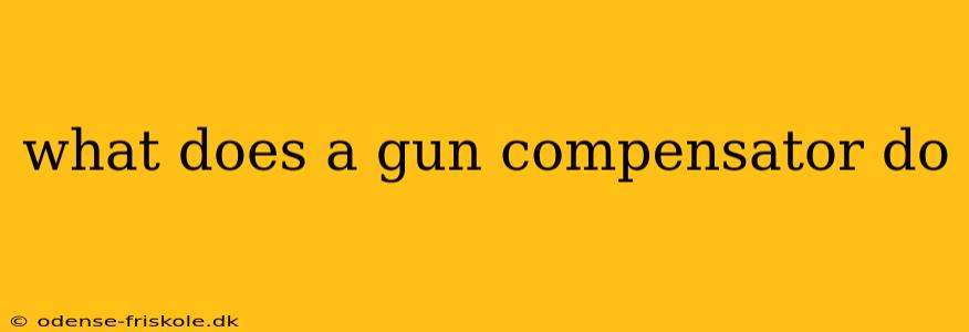 what does a gun compensator do