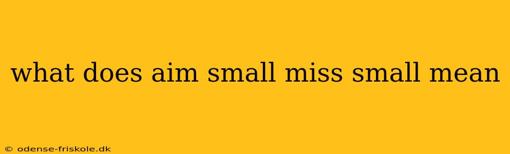 what does aim small miss small mean