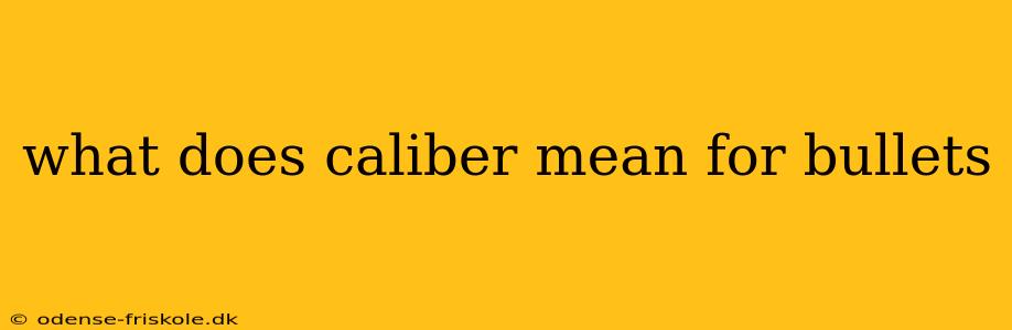 what does caliber mean for bullets