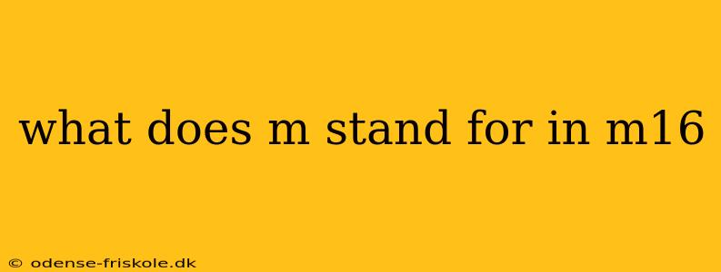 what does m stand for in m16