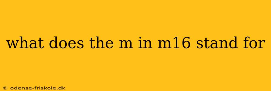 what does the m in m16 stand for