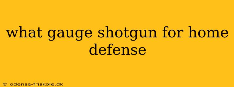 what gauge shotgun for home defense