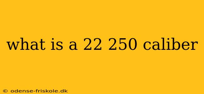 what is a 22 250 caliber