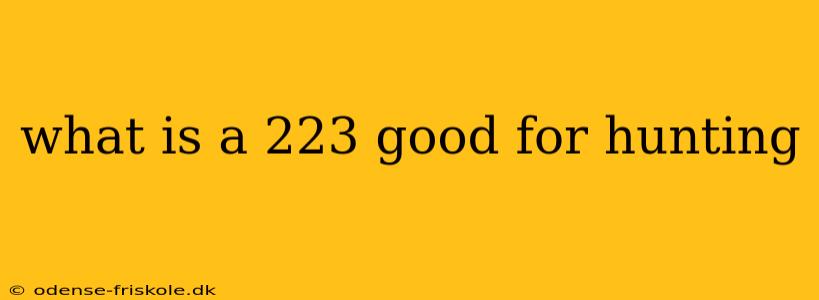 what is a 223 good for hunting