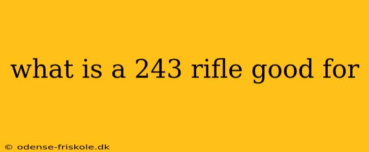 what is a 243 rifle good for