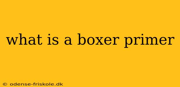 what is a boxer primer