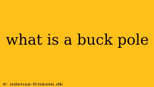 what is a buck pole