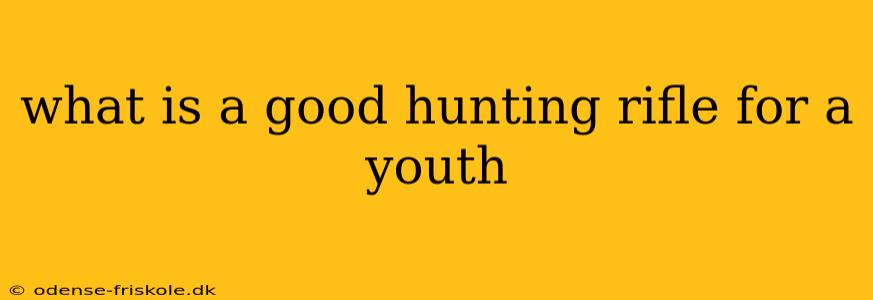 what is a good hunting rifle for a youth