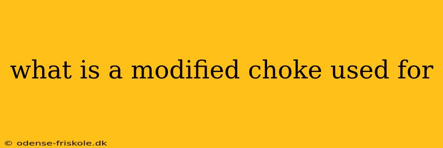 what is a modified choke used for