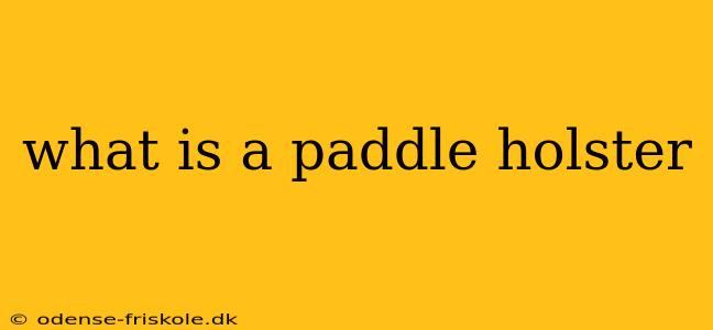 what is a paddle holster