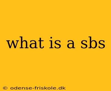 what is a sbs