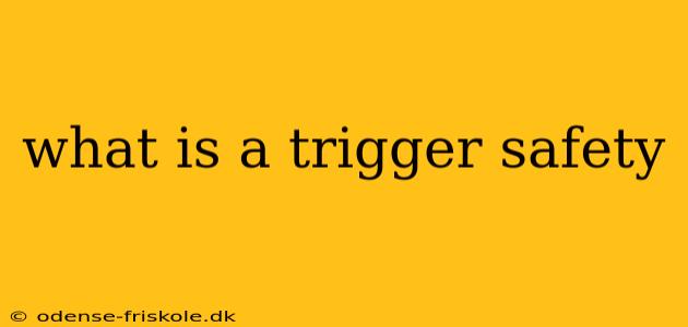 what is a trigger safety