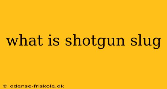 what is shotgun slug